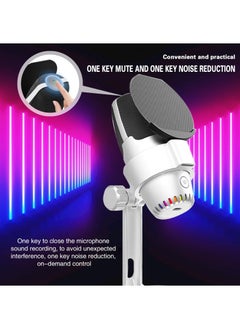 Anmi Condenser Microphone, USB Computer Gaming Mic for/PC/PS4/ PS5/Desktop, Plug & Play, RGB Light, Pop Filter, Studio Microphone for Gaming, Streaming, Recording, Podcasts, Twitch, YouTube, Discord  - Image 5