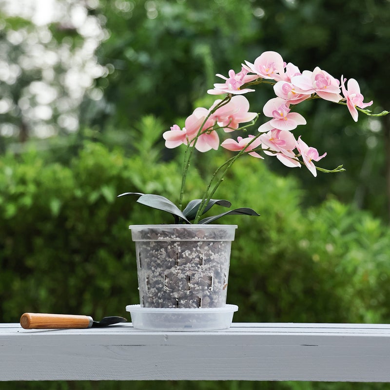 TRUEDAYS Orchid Pot with Saucers â€“ 6 Pack 6 Inch Clear Orchid Pots with Drainage Holes for Repotting â€“ Ideal for Healthy Root Growth â€“ Sturdy Plastic Plant Pot for Indoor & Outdoor Plants - Image 4