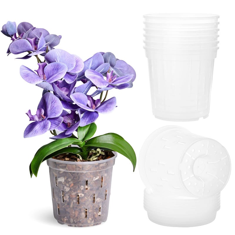 TRUEDAYS Orchid Pot with Saucers â€“ 6 Pack 6 Inch Clear Orchid Pots with Drainage Holes for Repotting â€“ Ideal for Healthy Root Growth â€“ Sturdy Plastic Plant Pot for Indoor & Outdoor Plants - Image 1