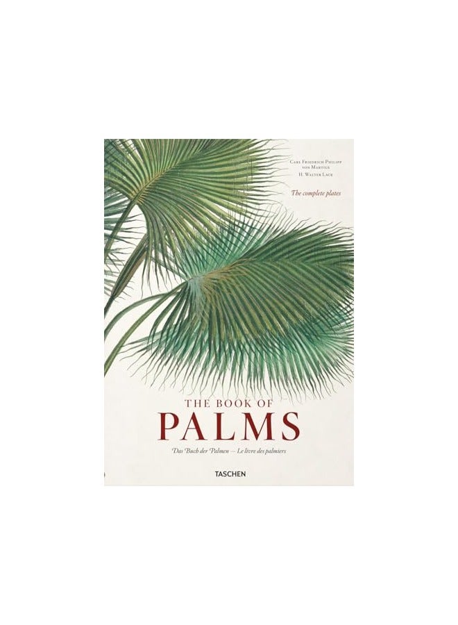Martius The Book Of Palms