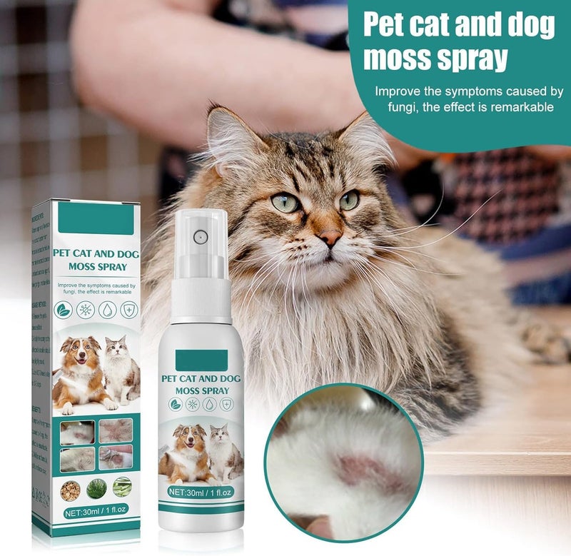 Makbeaty Pet skin medicine spray for cats and dogs to remove mites, itching, redness, swelling and itching（30ml） - Image 2