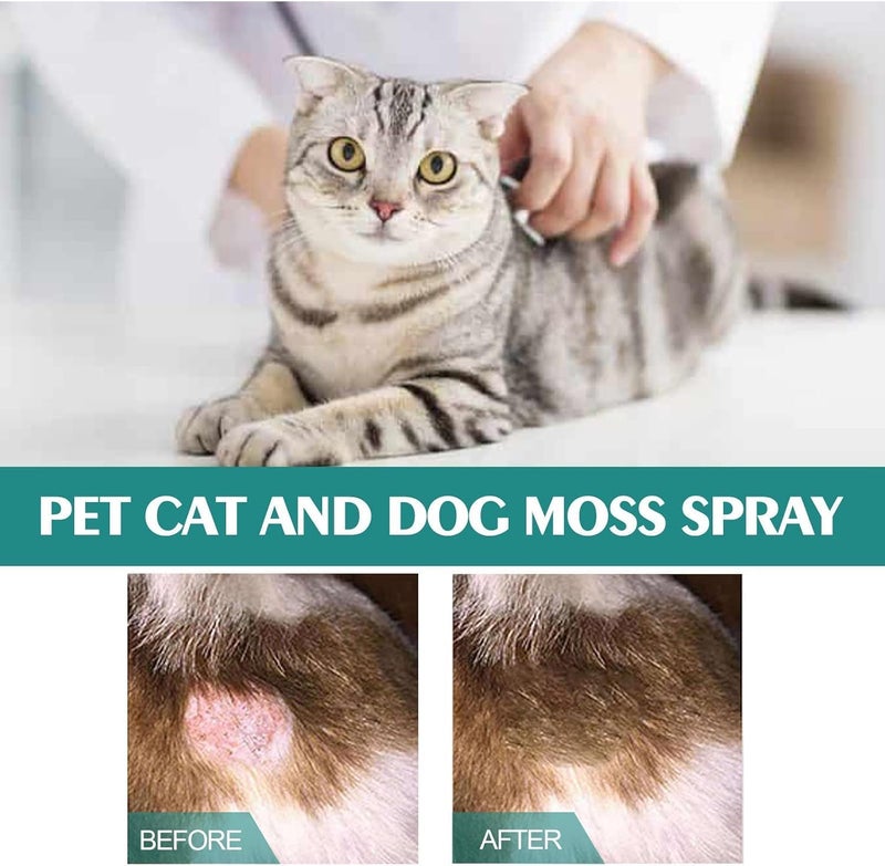 Makbeaty Pet skin medicine spray for cats and dogs to remove mites, itching, redness, swelling and itching（30ml） - Image 4