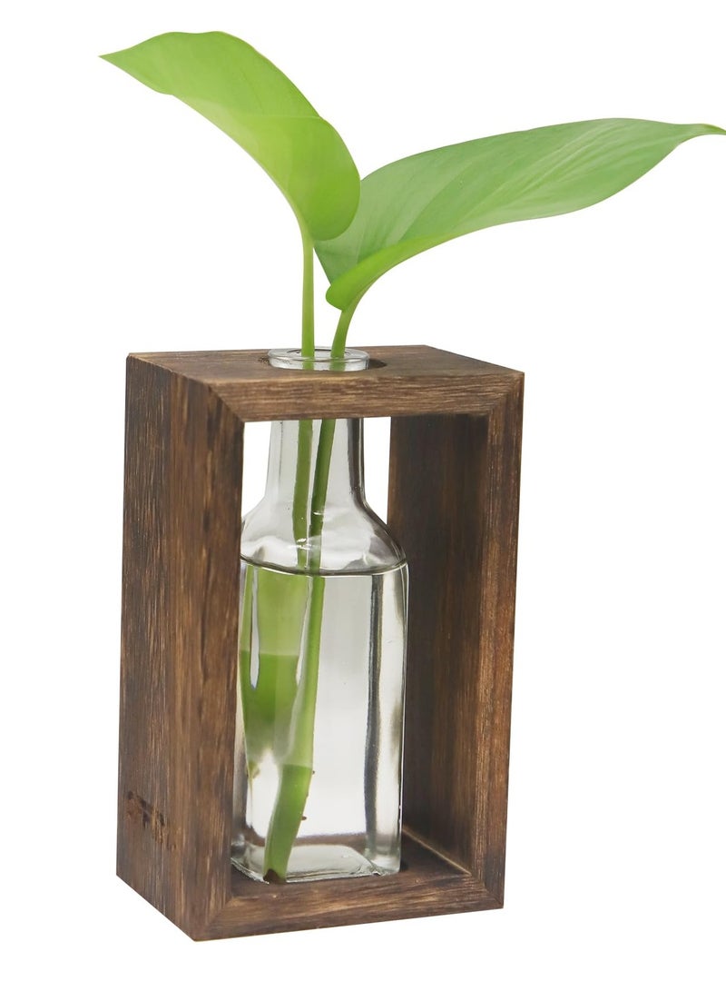 Excefore Plant Terrarium with Wooden Stand,Plant Wooden Station with Glass Vase for Hydroponic Plant,Desktop Wooden Holder for Indoor Plants Home Garden Office Decoration Plants, Plant Holder Lover Gifts - Image 1