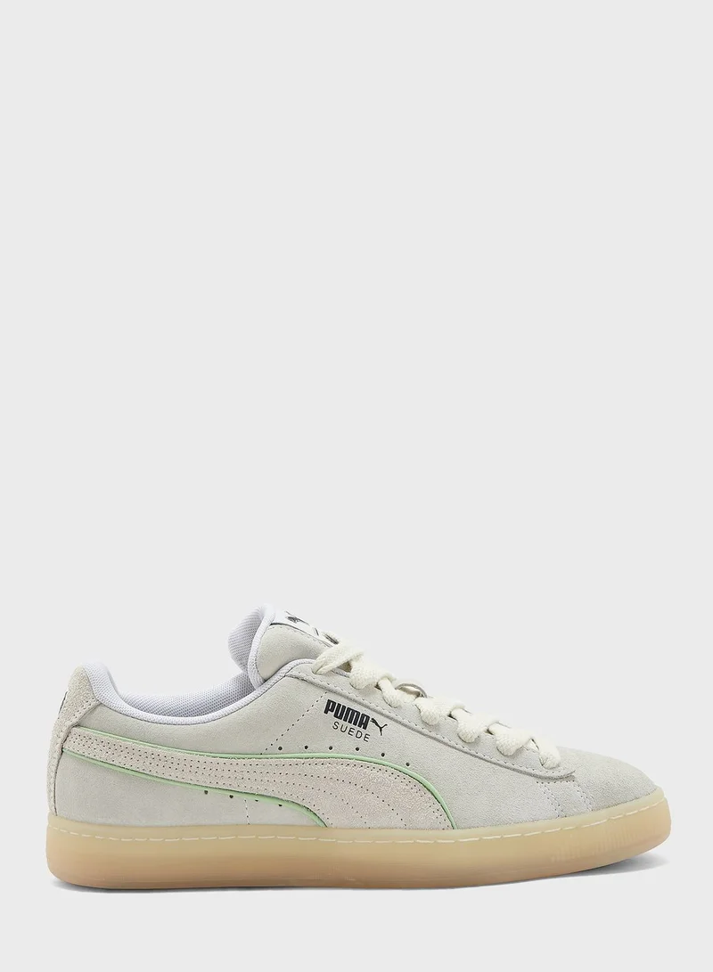 PUMA Suede Palm Tree Crew