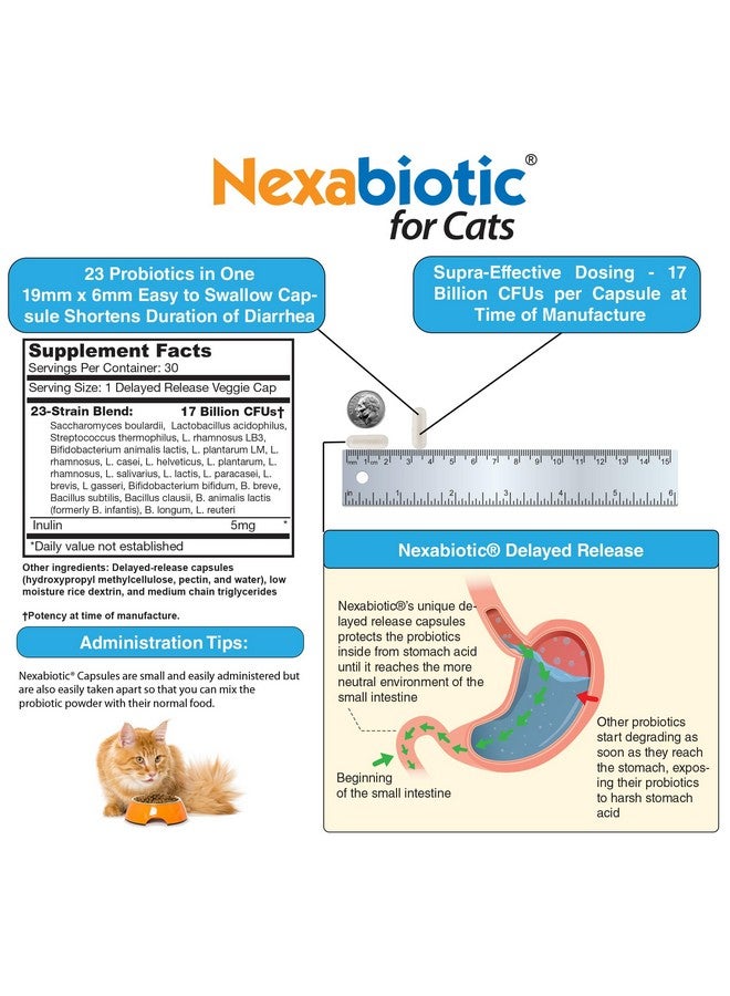 دي آر فورميولاز مسحوق بروبيوتيك نيكسابيوتيك للقطط من دكتور فورميولاز | يعالج إسهال الحيوانات الأليفة ببكتيريا ساكرومايسز بولاردي لاكتوباسيلوس أسيدوفيلوس، أفضل مكمل بروبيوتيك لصحة الجهاز الهضمي، 30 كبسولة - Image 4