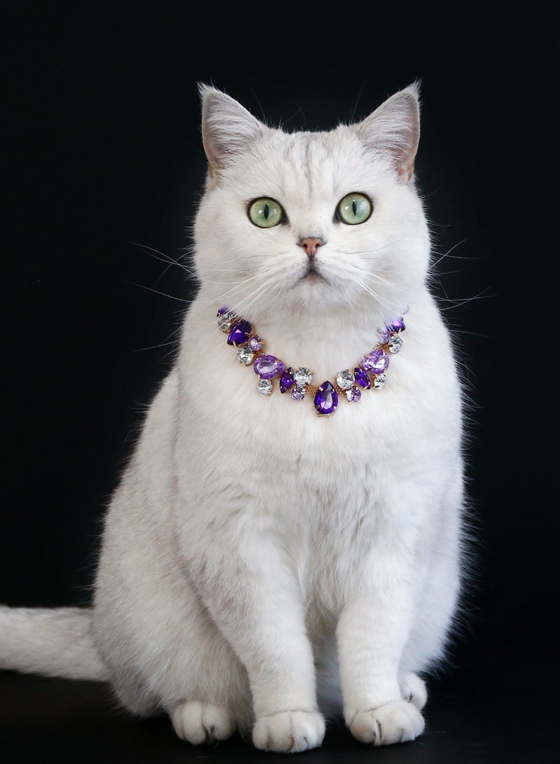 Innoshine Purple Pet Jewelry Necklace Collar with Crystal Gemstone Fashion Diamond Necklace For Cat and small Dogs Adjustable Pet Collar for Wedding and Party - Image 4