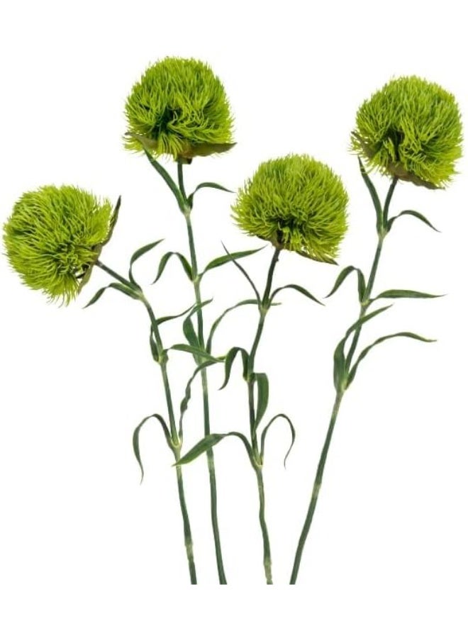 LATIFA 4 Pcs Artificial Dianthus Flowers, Realistic Greenery Stems for Home Decor, Light Green - Image 3