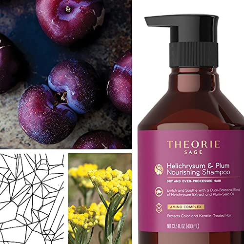 Theorie: Sage - Helichrysum & Plum - Nourishing Shampoo - For Dry & Over-Processed Hair - Protects Color & Keratin Treated Hair, 400ml (Label Design May Vary) - Image 3