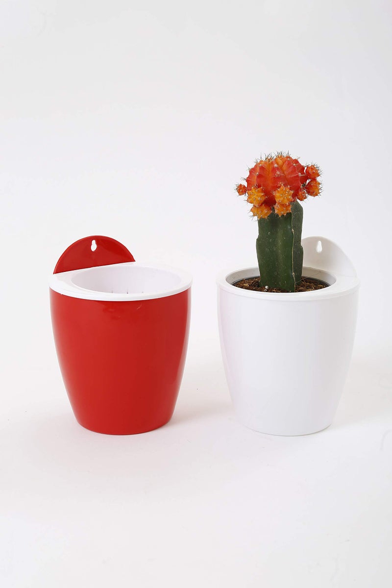 CAPPL Self Watering Hanging Planter Flower Pot (Red-White Pack of 6) - Image 4