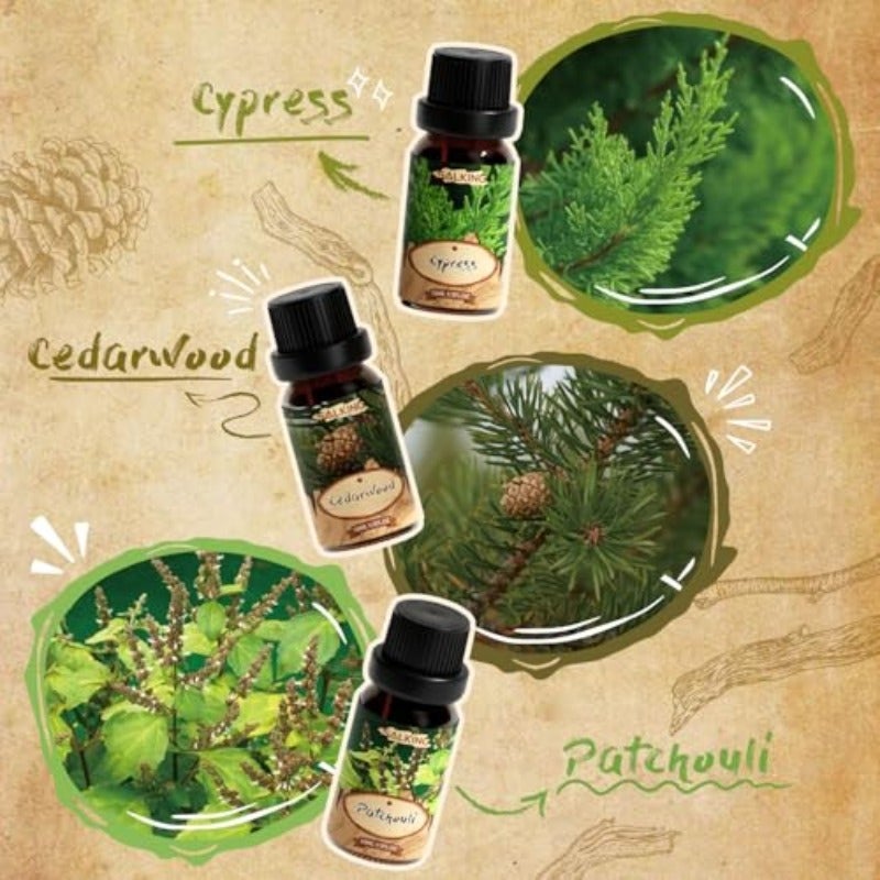 SALKING Woody Essential Oils Set 100 Pure Fragrance Oil Aromatherapy Gift Set Premium Scented Oils for Oil Diffusers 6 x 10 ML - Frankincense Teakwood Sandalwood Cypress Cedarwood Patchouli Natural fragrance oils for diffuser soap candles Frankincense cedar wood sandalwood teak wood cypress patchouli - Image 4