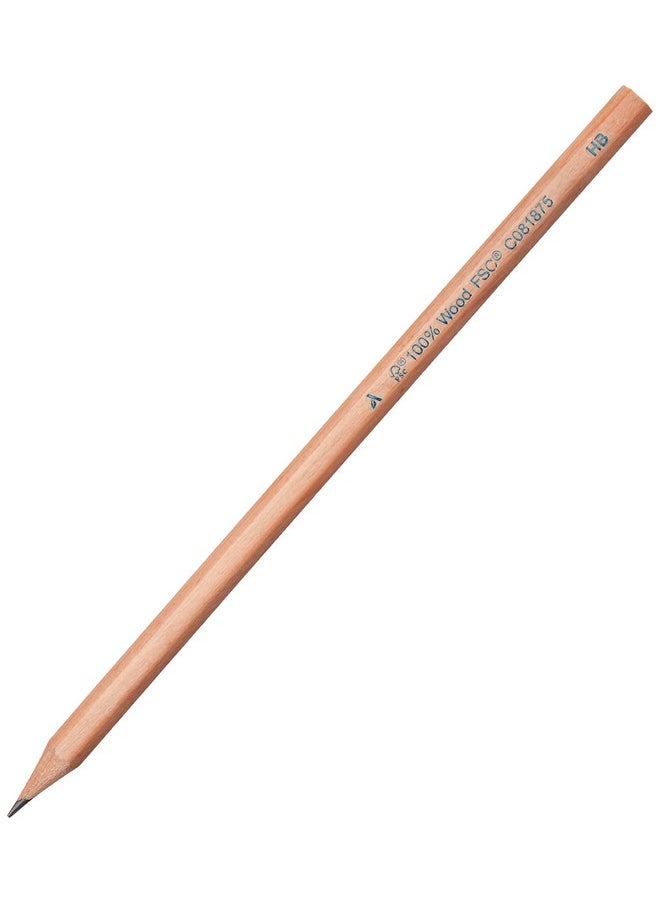 Woodcased #2 Pencils, Pre-Sharpened, 144 Pack, Gray - pzsku/Z35D00735545078E169F9Z/45/_/1731927225/1fc965bd-f347-4518-a884-e5b5046f4ba6