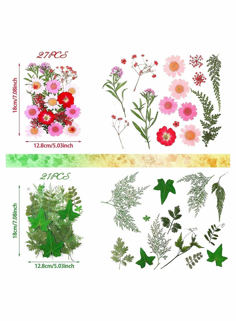 SYOSI Pressed Flowers Resin Flowers for Resin Mold, Real Daisy Dried Flower Leaves Natural with Tweezers for Scrapbooking DIY Candle Accessories Jewelry Crafts Making (Colorful Style) - Image 3