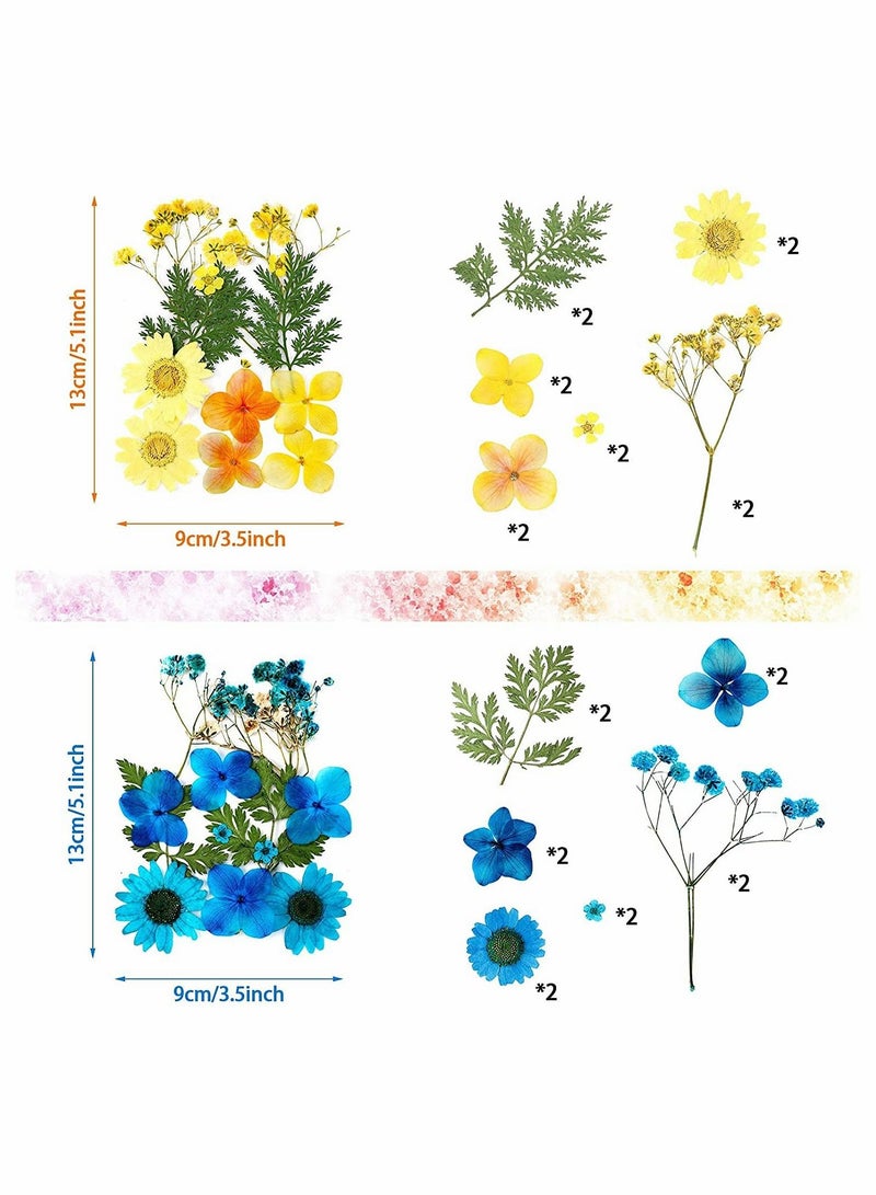 SYOSI Pressed Flowers Resin Flowers for Resin Mold, Real Daisy Dried Flower Leaves Natural with Tweezers for Scrapbooking DIY Candle Accessories Jewelry Crafts Making (Colorful Style) - Image 4