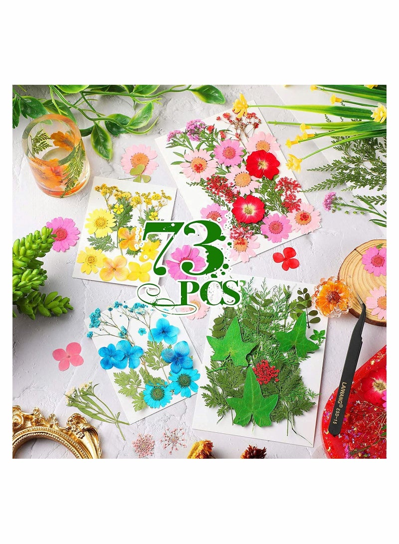 SYOSI Pressed Flowers Resin Flowers for Resin Mold, Real Daisy Dried Flower Leaves Natural with Tweezers for Scrapbooking DIY Candle Accessories Jewelry Crafts Making (Colorful Style) - Image 2