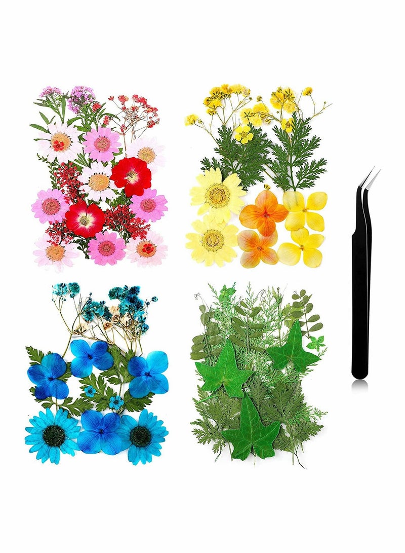 SYOSI Pressed Flowers Resin Flowers for Resin Mold, Real Daisy Dried Flower Leaves Natural with Tweezers for Scrapbooking DIY Candle Accessories Jewelry Crafts Making (Colorful Style) - Image 1