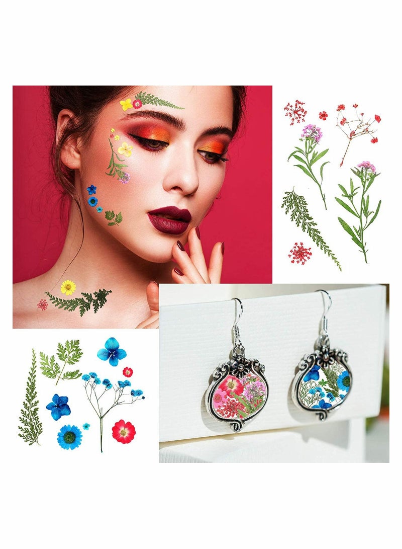 SYOSI Pressed Flowers Resin Flowers for Resin Mold, Real Daisy Dried Flower Leaves Natural with Tweezers for Scrapbooking DIY Candle Accessories Jewelry Crafts Making (Colorful Style) - Image 5