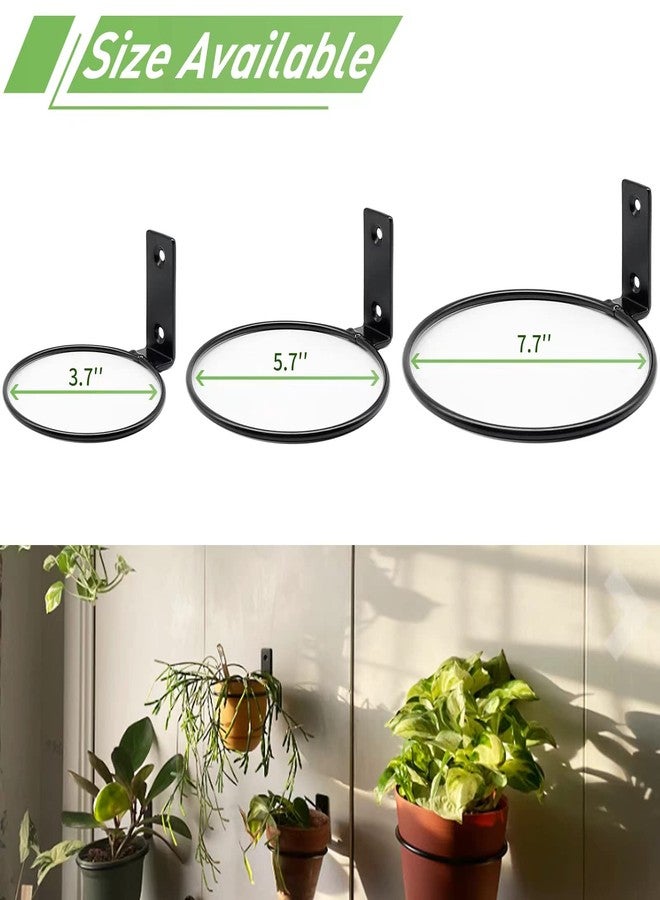 مجموعة من 6 قطع من حوامل أواني الزهور الجدارية من Greemov، مقاس 8 بوصات، حلقات تعليق النباتات، خطافات معدنية لأواني الزهور، حامل جداري شديد التحمل للاستخدام الداخلي والخارجي - Image 3