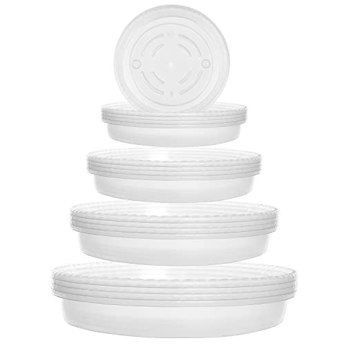 ABOUT SPACE Round Bottom Tray(Plate/Saucer) Pack of 16 Clear Plastic Bottom Tray for Flower Pots Plant Saucer Gamla for Indoor, Outdoor & Balcony (5.5" 6" 7" 8" - 4 Pcs Each) - Image 1
