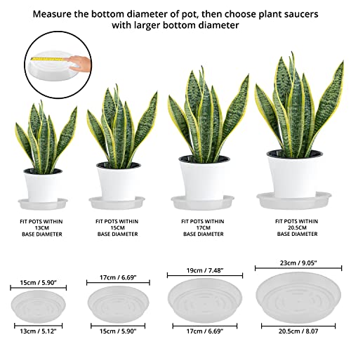 ABOUT SPACE Round Bottom Tray(Plate/Saucer) Pack of 16 Clear Plastic Bottom Tray for Flower Pots Plant Saucer Gamla for Indoor, Outdoor & Balcony (5.5" 6" 7" 8" - 4 Pcs Each) - Image 3