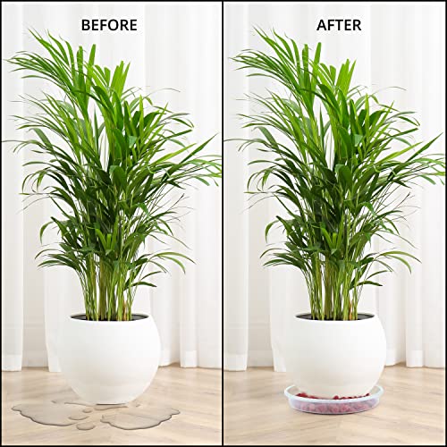 ABOUT SPACE Round Bottom Tray(Plate/Saucer) Pack of 16 Clear Plastic Bottom Tray for Flower Pots Plant Saucer Gamla for Indoor, Outdoor & Balcony (5.5" 6" 7" 8" - 4 Pcs Each) - Image 5