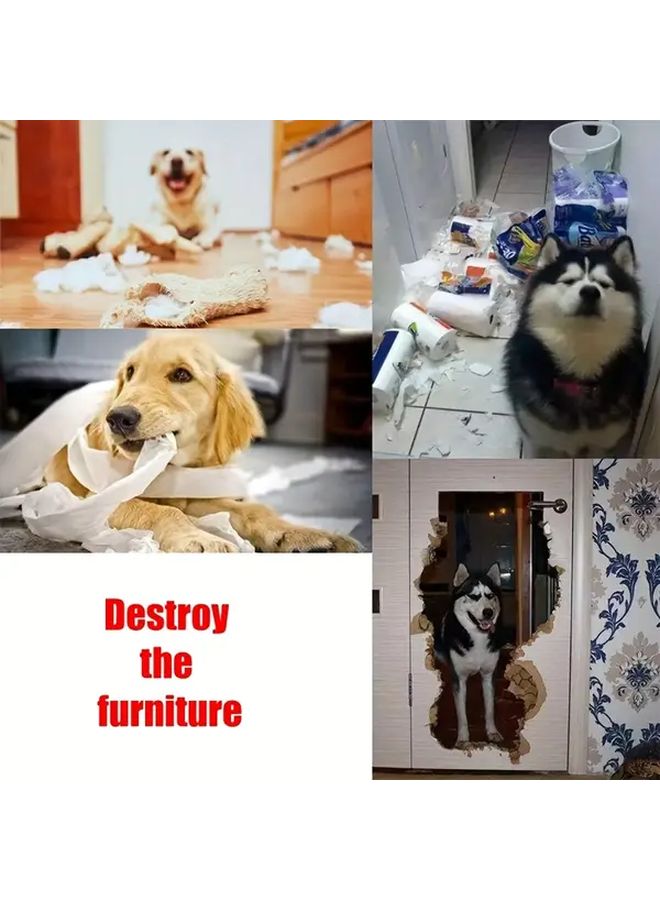 1 سجادة تفاعلية للكلاب للبحث عن الطعام - مصممة لتغذية بطيئة ومتينة - لوح ألغاز للتدريب على البحث عن الطعام - Image 5