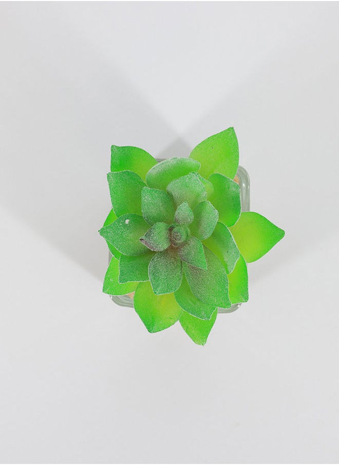 Rahalife Artificial Succulent Bonsai  - Image 2