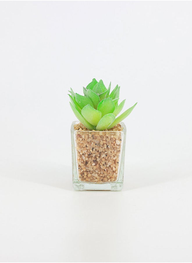 Rahalife Artificial Succulent Bonsai  - Image 1