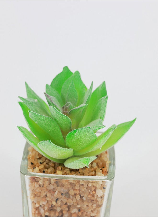 Rahalife Artificial Succulent Bonsai  - Image 3
