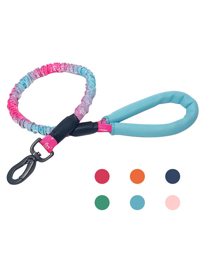 Loquat Dog Training Leash with Comfortable Padded Handle Light Blue 30x7x5cm - Image 2
