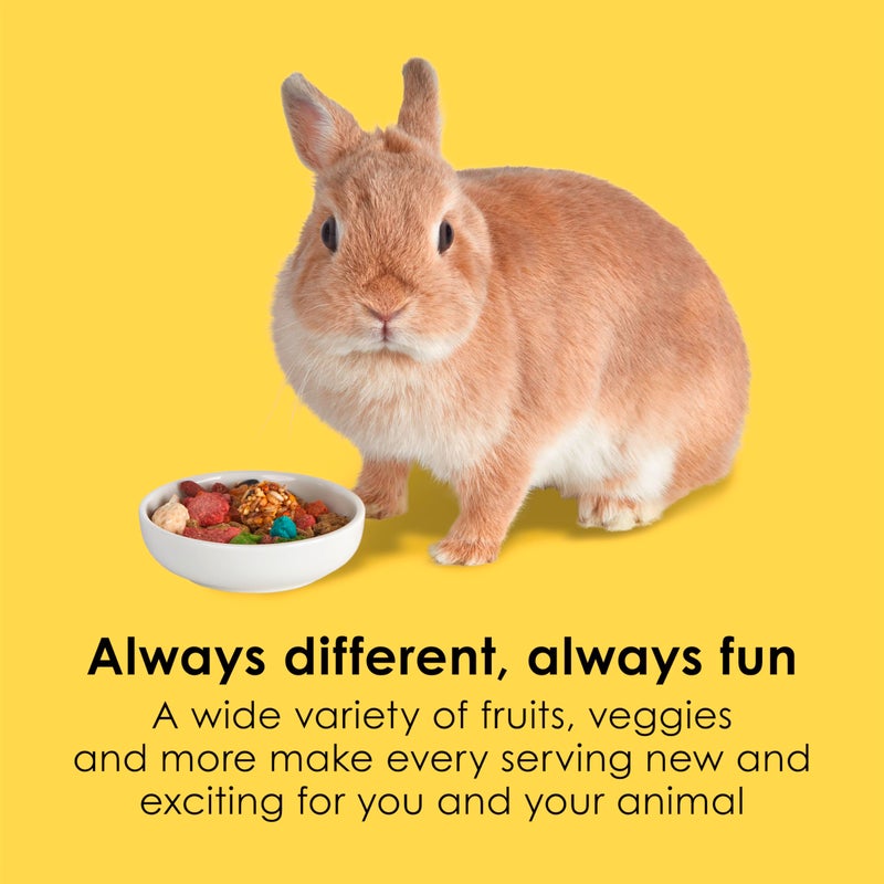 Kaytee Fiesta Rabbit Food, Nutritious and Fun Blend, Supports Dental Health and Digestion, 6.5 pounds - Image 3