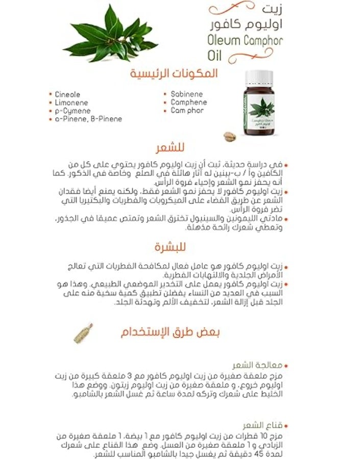 أوليوم زيت أوليوم كافور نقي - 30 مل - طبيعي 100% وغير مكرر - زيت مبرد للاسترخاء وتخفيف الآلام والالتهابات. - Image 4
