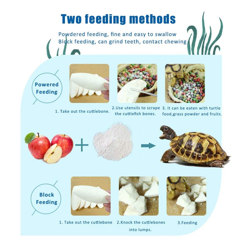 Mivofun 2PCS Natural Cuttlebone for Tortoise Turtles Snails Birds Cockatiels Parakeets Budgies Reptiles Small Animals(4"-4.5",Small) - Image 4