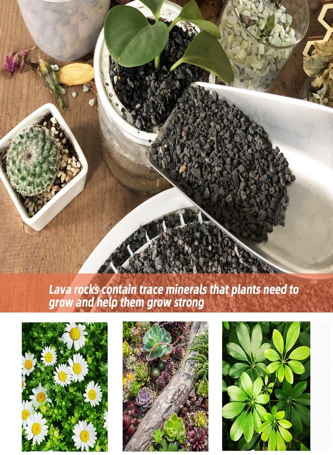 Anothera Black Lava Rocks for Plants Decorative Landscaping Plants Top Dressing for Cacti, Succulents Bonsai Plant Drainage Gravel, 3LB - Image 3