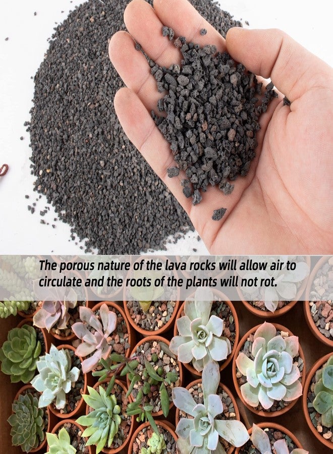 Anothera Black Lava Rocks for Plants Decorative Landscaping Plants Top Dressing for Cacti, Succulents Bonsai Plant Drainage Gravel, 3LB - Image 4