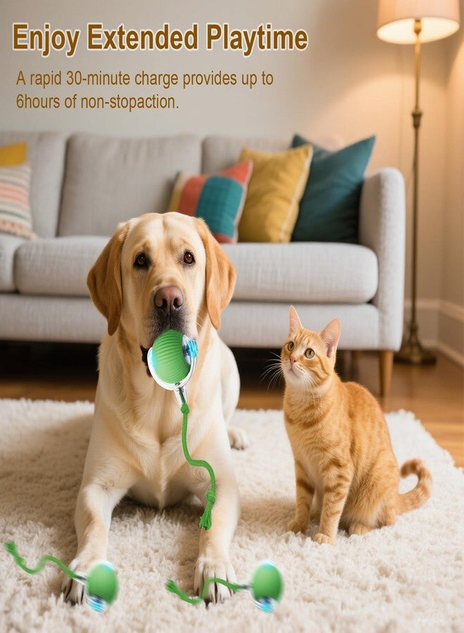 Taikcsut Interactive Cat Toy, 2025 New Interactive Rolling Cats Dog Toy Balls 360° Smart Automatic Rolling Pet Ball, Fast Moving Toy for Dog,Cat Ball Toy(Geen) - Image 5