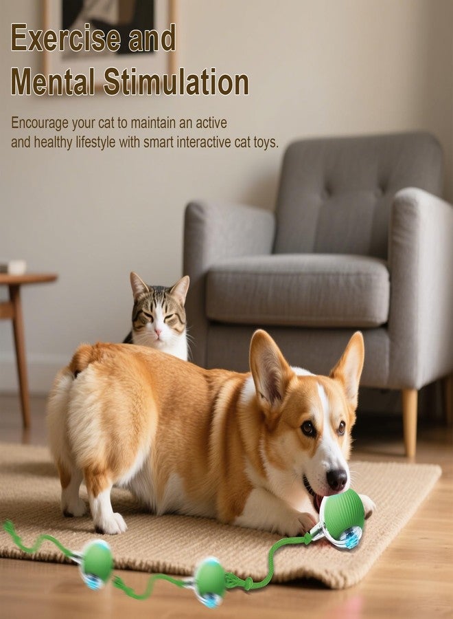 Taikcsut Interactive Cat Toy, 2025 New Interactive Rolling Cats Dog Toy Balls 360° Smart Automatic Rolling Pet Ball, Fast Moving Toy for Dog,Cat Ball Toy(Geen) - Image 4
