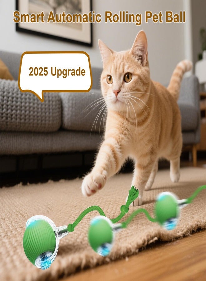Taikcsut Interactive Cat Toy, 2025 New Interactive Rolling Cats Dog Toy Balls 360° Smart Automatic Rolling Pet Ball, Fast Moving Toy for Dog,Cat Ball Toy(Geen) - Image 3