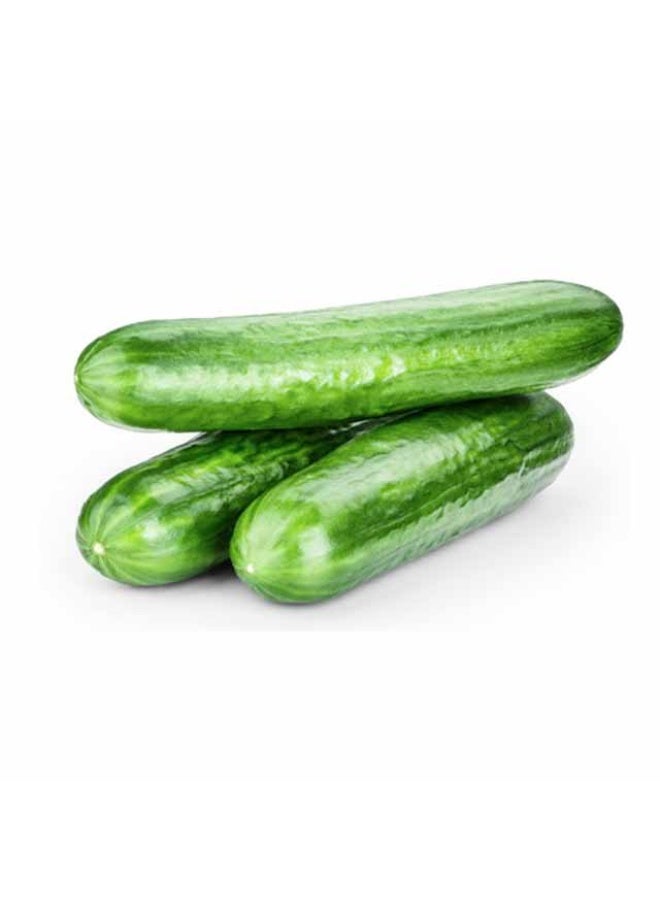 Cucumbers, 500g - 5 to 8 Pieces, UAE