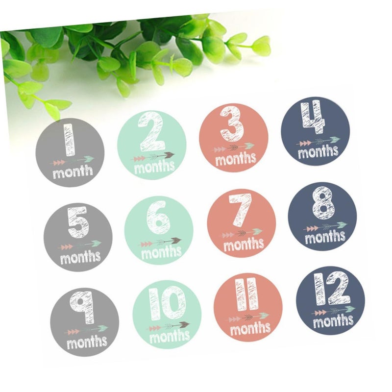 Reusable Baby Milestone Stickers 24Pcs Monthly Photo Album Pregnancy To One Year - Image 5