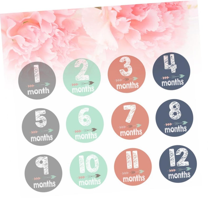 Reusable Baby Milestone Stickers 24Pcs Monthly Photo Album Pregnancy To One Year - Image 3