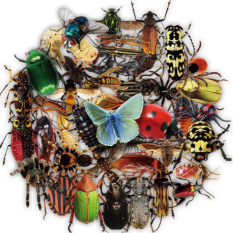 Vbglmya 50PCS Realistic Insect Stickers, Transparent Waterproof PET Vinyl Stickers for Scrapbooking Journals Planners Laptops Bottles Crafts for Teens & Adults - Image 1