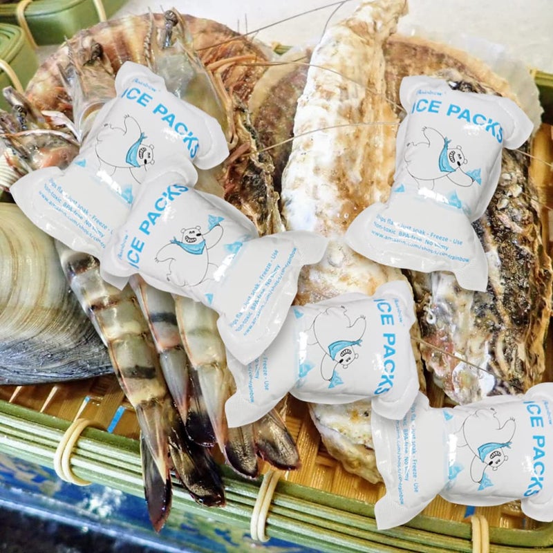 RAINBOW Dry Ice Packs for Shipping Frozen Food - Reusable Ice Packs for Coolers & Lunch Bags â€“ Long Lasting Cold Packs for Transporting Fish, Meats, and More - 20 Packs Included (5.5" x 3.9") - Image 5