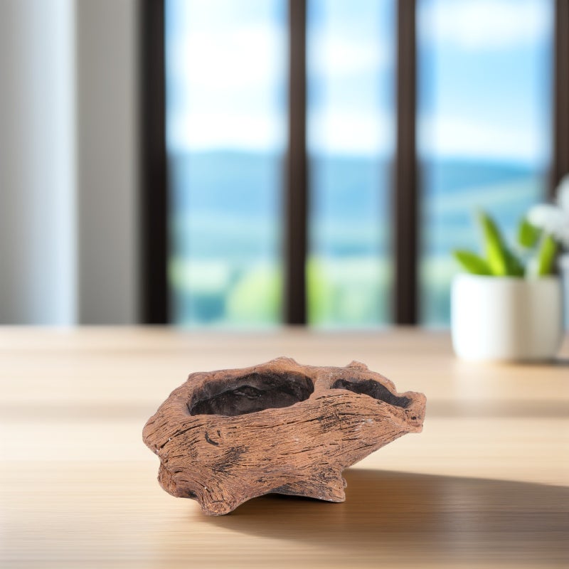 🌱 وعاء نبات العصاريات بتصميم مبتكر للزينة المنزلية طراز كلاسيكي - Image 3