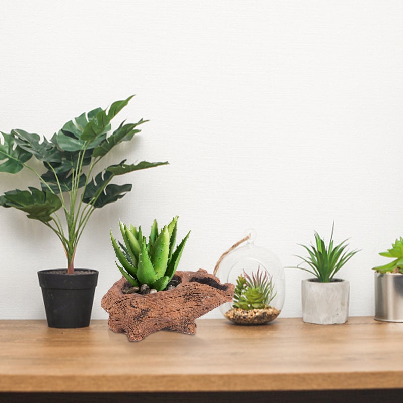🌱 وعاء نبات العصاريات بتصميم مبتكر للزينة المنزلية طراز كلاسيكي - Image 1
