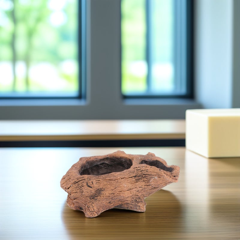 🌱 وعاء نبات العصاريات بتصميم مبتكر للزينة المنزلية طراز كلاسيكي - Image 4
