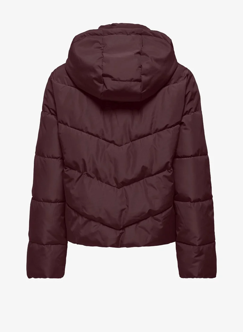 Only  Casual Hooded Puffer Jacket for Women | Best Price UAE