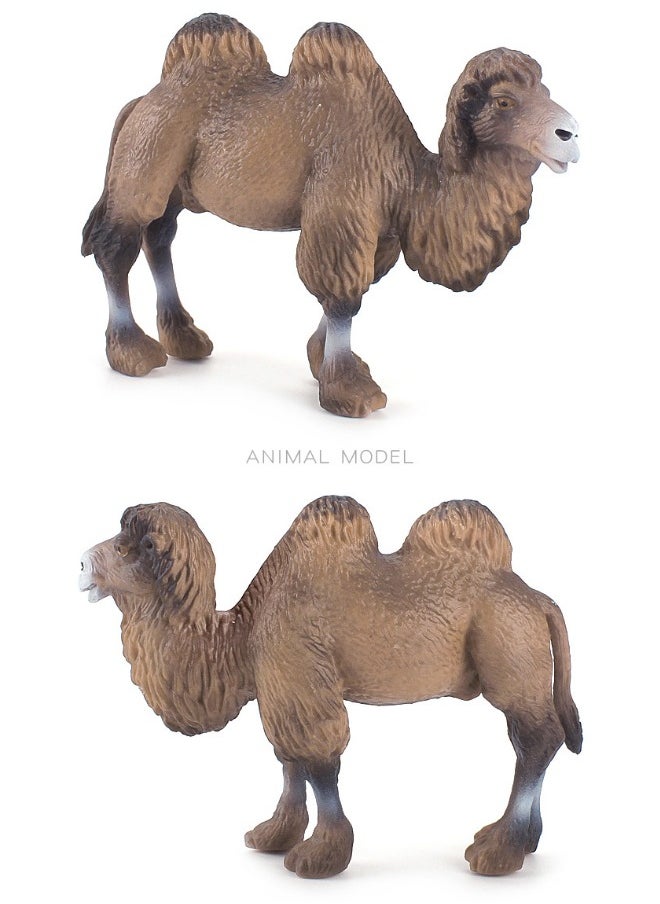 lelewu 2-Pack Desert Camel Solid Static Model Figurine Toy Set, Hand-Painted Realistic Bactrian Camels, Eco-Friendly PVC Material, Animal Toys for Decoration & Education  - Image 2