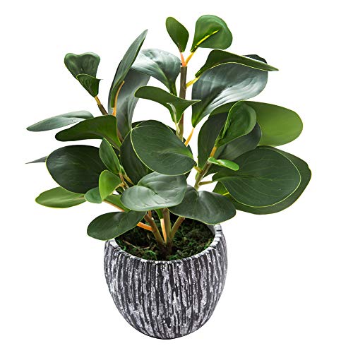 AlphaAcc Artificial Plants Real Looking and Touching Fake Plant Evergreen Plastic Fiddle Leaf Fig Plant with Rustic Black Cement Planter for Housewarming Office Desk Decor - Image 1