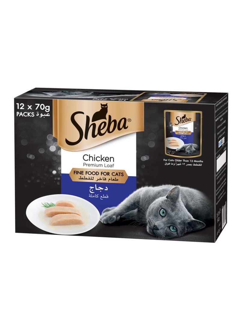 Sheba رغيف دجاج مميز طعام فاخر للقطط