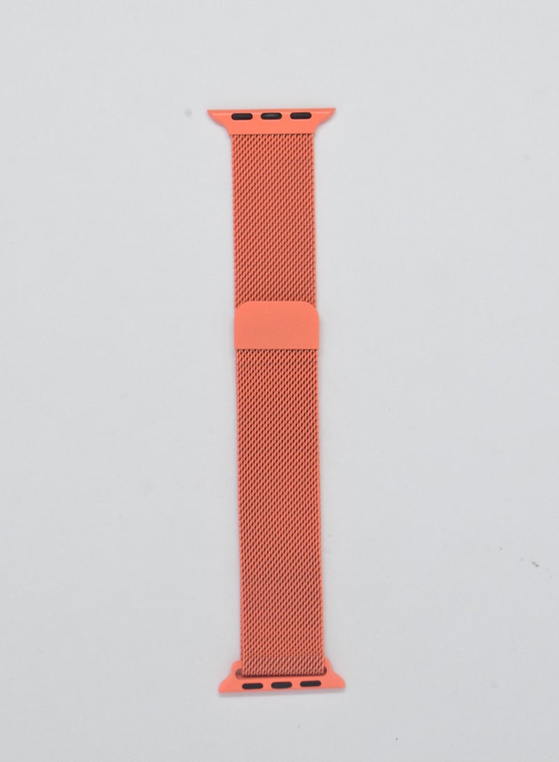 BORTONY Replacement Watch Band For Apple Series 7/6/5 Size 38/40mm - Image 1